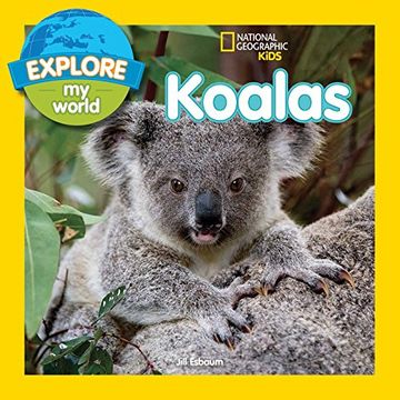 portada Explore my World Koalas (en Inglés)
