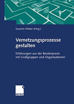 portada Vernetzungsprozesse Gestalten: Erfahrungen aus der Beraterpraxis mit Großgruppen und Organisationen (in German)