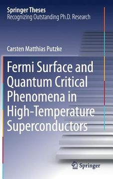 portada Fermi Surface and Quantum Critical Phenomena of High-Temperature Superconductors (in English)