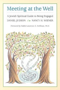 portada meeting at the well: a jewish spiritual guide to being engaged (en Inglés)