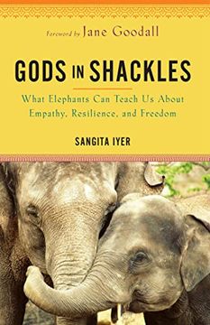 portada Gods in Shackles: What Elephants can Teach us About Empathy, Resilience, and Freedom 