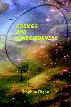 portada cosmos and consciousness: quantum computers, superstrings, programming, egypt, quarks, mind body problem, and turing machines (en Inglés)