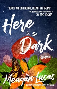 portada Here in the Dark: Stories (in English)