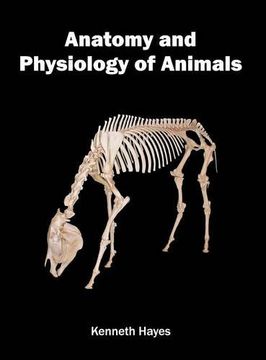 portada Anatomy and Physiology of Animals (en Inglés)