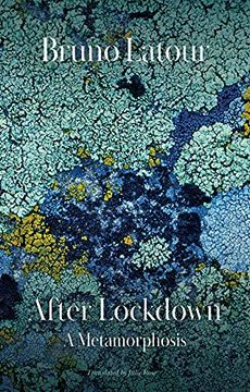 portada After Lockdown: A Metamorphosis 