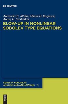portada Blow-Up in Nonlinear Sobolev Type Equations (in English)