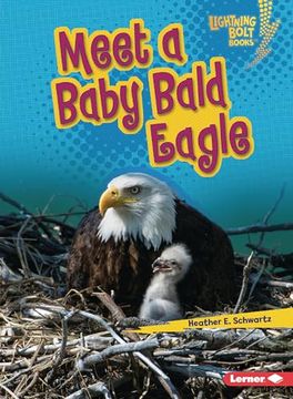 portada Meet a Baby Bald Eagle (en Inglés)