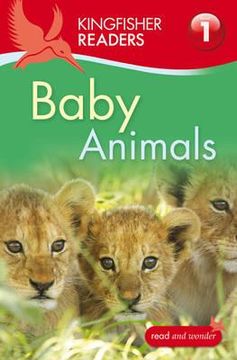 portada baby animals (in English)