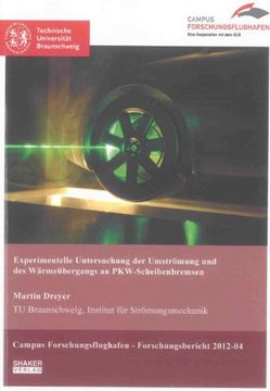 portada Experimentelle Untersuchung der Umströmung und des Wärmeübergangs an PKW-Scheibenbremsen (in German)