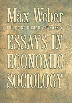 portada Essays in Economic Sociology (in English)
