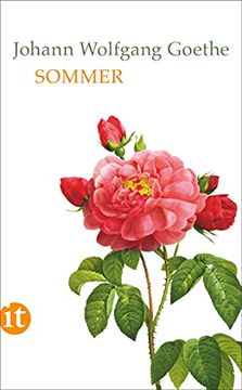 portada Sommer (Insel Taschenbuch, Band 4634) (en Alemán)