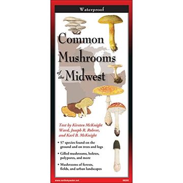 portada Common Mushrooms of the Midwest (en Inglés)