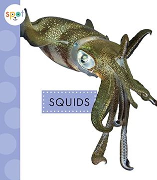 portada Squids (en Inglés)