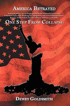 portada america betrayed: one step from collapse (en Inglés)