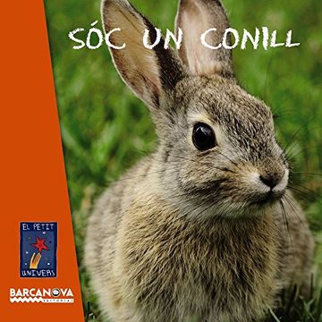 portada Sóc Un Conill (Llibres Infantils I Juvenils - El Petit Univers)