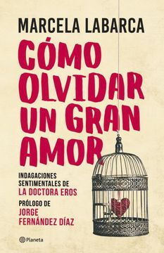 portada Como Olvidar un Gran Amor (in Spanish)
