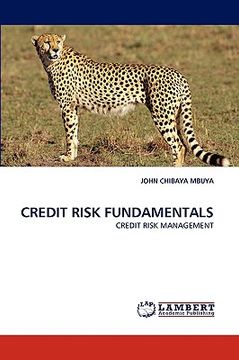 portada credit risk fundamentals (en Inglés)