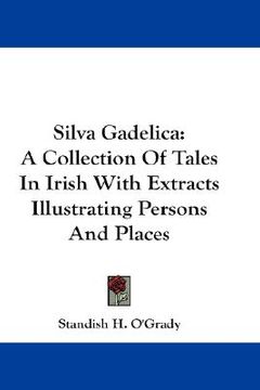 portada silva gadelica: a collection of tales in irish with extracts illustrating persons and places (en Inglés)