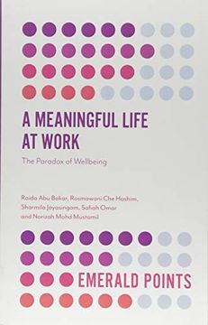 portada A Meaningful Life at Work: The Paradox of Wellbeing (Emerald Points) (en Inglés)