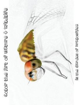 portada In the Garden of Dragonflies [Line Drawings]: Color the Art of Nature + Wildlife (en Inglés)