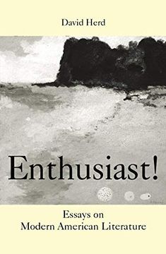 portada Enthusiast! Essays on Modern American Literature (in English)