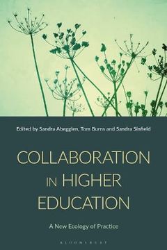 portada Collaboration in Higher Education (en Inglés)
