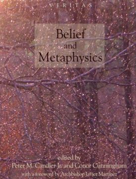 portada Belief and Metaphysics (en Inglés)