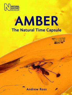 portada Amber: The Natural Time Capsule