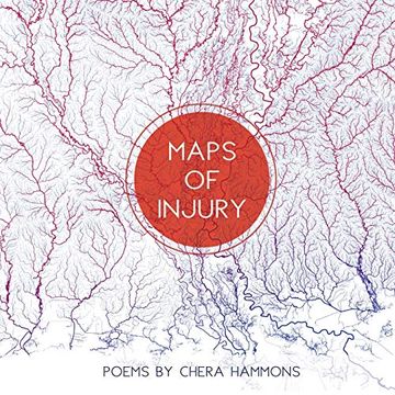 portada Maps of Injury (in English)