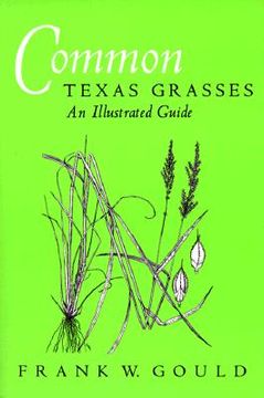 portada common texas grasses: an illustrated guide (en Inglés)