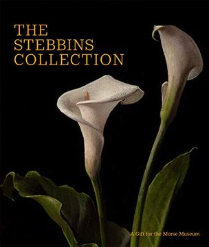 portada The Stebbins Collection: A Gift for the Morse Museum (en Inglés)
