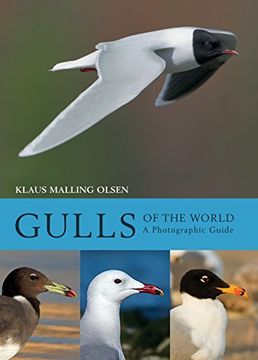 portada Gulls of the World: A Photographic Guide