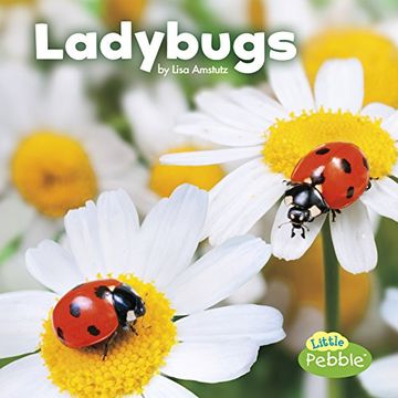 portada Ladybugs (Little Critters) (en Inglés)