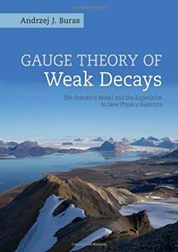 portada Gauge Theory of Weak Decays: The Standard Model and the Expedition to New Physics Summits (en Inglés)