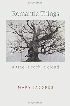 portada Romantic Things: A Tree, a Rock, a Cloud (in English)