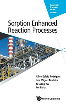 portada Sorption Enhanced Reaction Processes: 1 (Sustainable Chemistry Series)