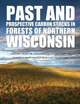 portada Past and Prospective Carbon Stocks in Forests of Northern Wisconsin