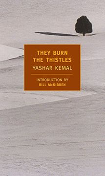 portada They Burn the Thistles (New York Review Books Classics) (en Inglés)