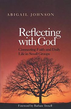 portada Reflecting With God: Connecting Faith and Daily Life in Small Groups (in English)