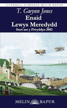 portada Enaid Lewys Meredydd: Stori am y Flwyddyn 2002 (in Welsh)