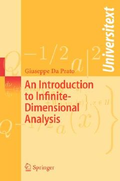 portada an introduction to infinite-dimensional analysis (en Inglés)