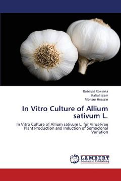 portada In Vitro Culture of Allium Sativum L.