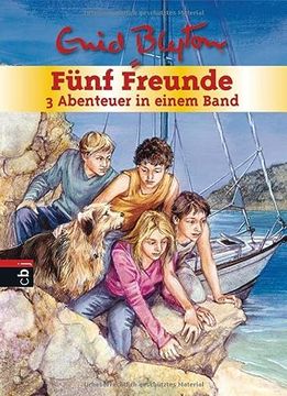 portada Fünf Freunde - 3 Abenteuer in Einem Band: Sammelband 9: Fünf Freunde Retten die Felseninsel / Fünf Freunde und die Wahrsagerin / Fünf Freunde und das. Am Fluss (Doppel- und Sammelbände, Band 9) (in German)