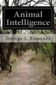portada Animal Intelligence