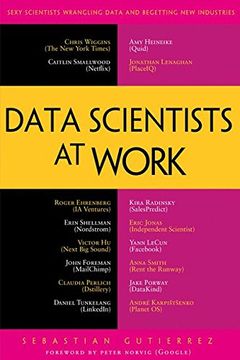 portada Data Scientists at Work