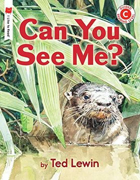 portada Can you see me? (i Like to Read) (in English)