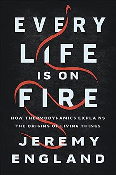 portada Every Life is on Fire: How Thermodynamics Explains the Origins of Living Things (en Inglés)