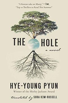 portada The Hole: A Novel (in English)