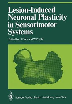 portada lesion-induced neuronal plasticity in sensorimotor systems (en Inglés)