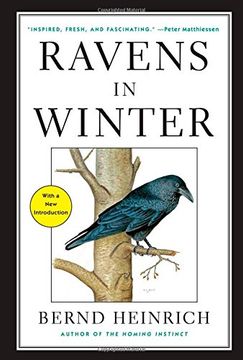 portada Ravens in Winter (en Inglés)